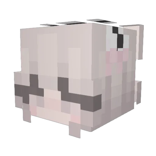Raburon Minecraft avatar head, 3D render