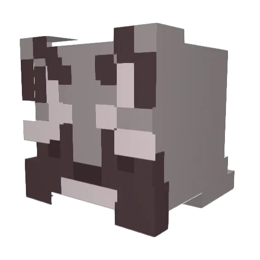 Rac00nM4n Minecraft avatar head, 3D render