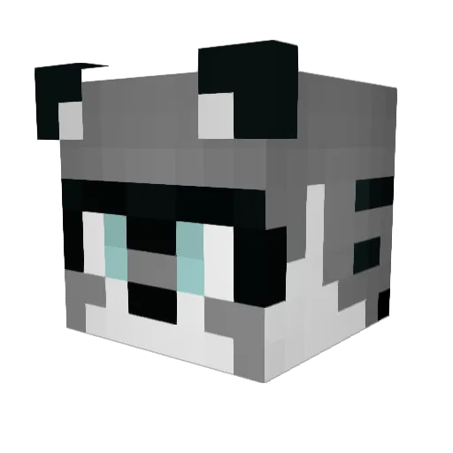 Rac00nSorcier Minecraft avatar head, 3D render