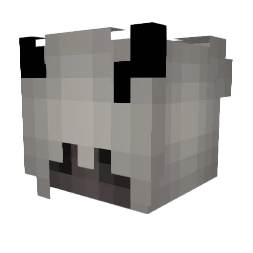 RacIette Minecraft avatar head, 3D render