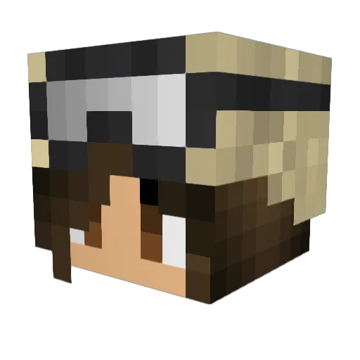 RacaFly Minecraft avatar head, 3D render