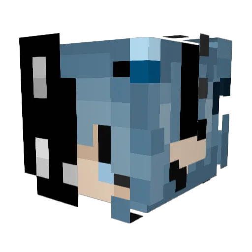 Racc00nDevil Minecraft avatar head, 3D render