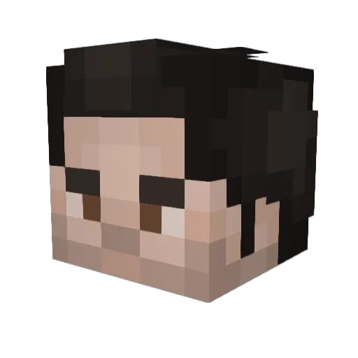 Racc00nGuy_ Minecraft avatar head, 3D render