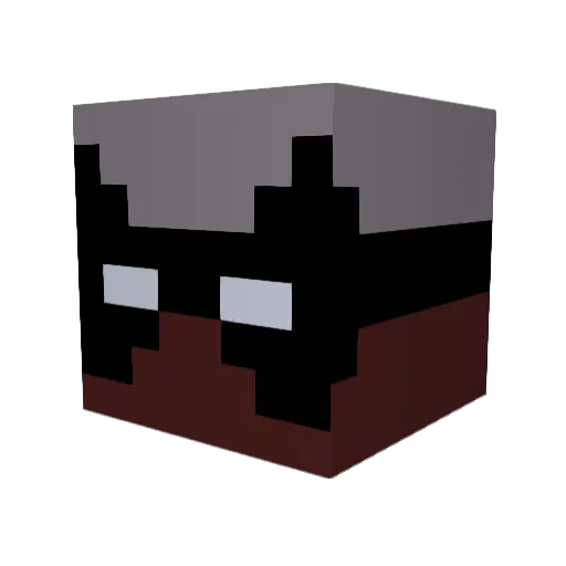 Racc00nMan1348 Minecraft avatar head, 3D render