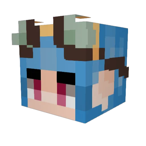 Racc00nPope Minecraft avatar head, 3D render