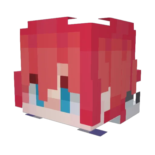 Racc0o0ns Minecraft avatar head, 3D render