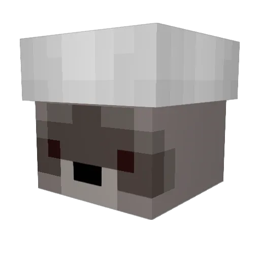 RaccWho Minecraft avatar head, 3D render