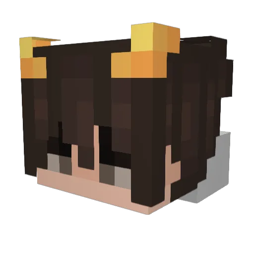 Racc_boi Minecraft avatar head, 3D render