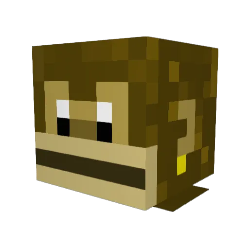 Raccabilly Minecraft avatar head, 3D render