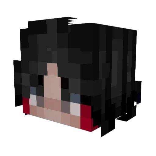Racciani Minecraft avatar head, 3D render