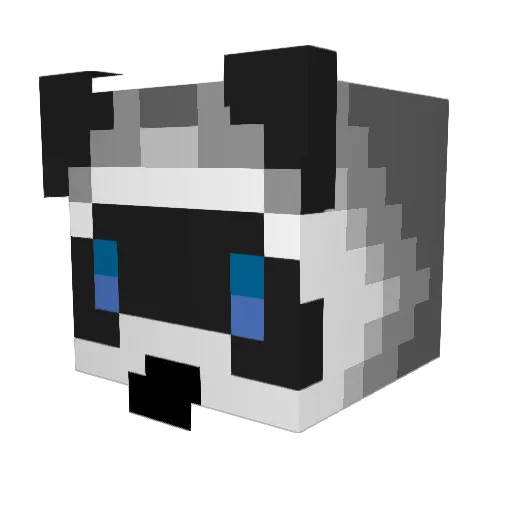Raccie Minecraft avatar head, 3D render
