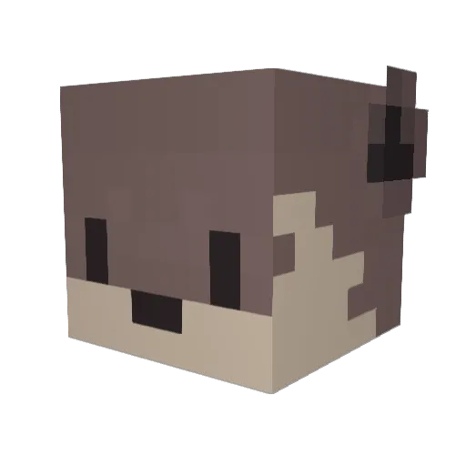 Racco0 Minecraft avatar head, 3D render