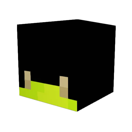 Raccon200 Minecraft avatar head, 3D render