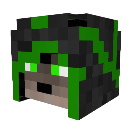 RaccoonShot Minecraft avatar head, 3D render