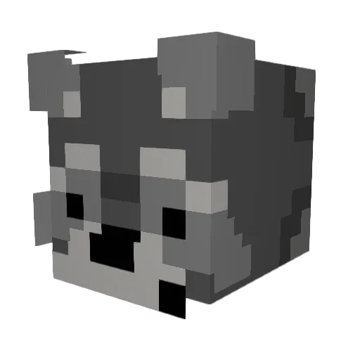 Raccoonsk69 Minecraft avatar head, 3D render