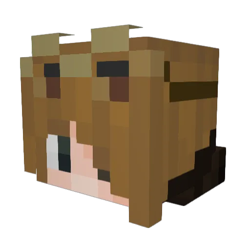Raccooze Minecraft avatar head, 3D render