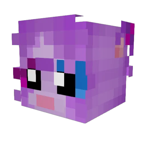 Raccozy Minecraft avatar head, 3D render