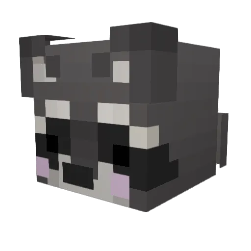 Racctify Minecraft avatar head, 3D render