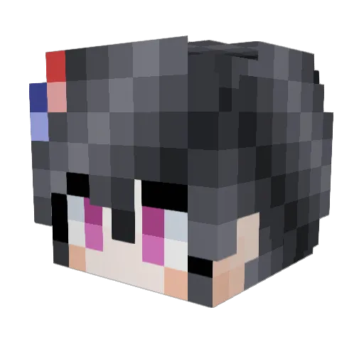 Raccun1 Minecraft avatar head, 3D render