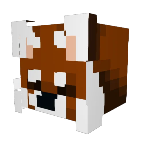 Raccuracy Minecraft avatar head, 3D render