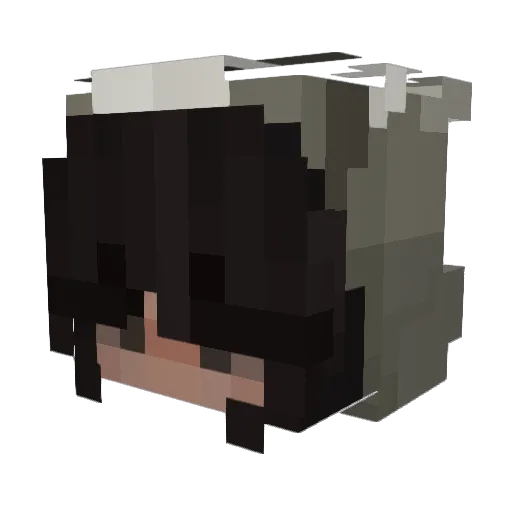 Raccyio Minecraft avatar head, 3D render