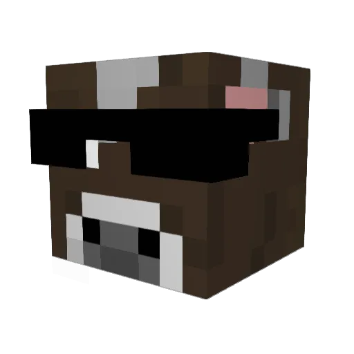 RaceToMaster Minecraft avatar head, 3D render