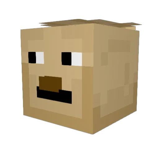 Racer1_0 Minecraft avatar head, 3D render