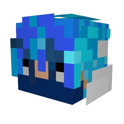 Racer529 Minecraft avatar head, 3D render