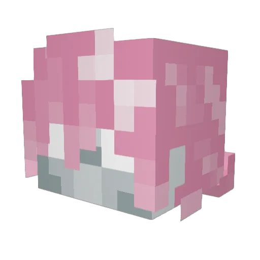 Racerskill Minecraft avatar head, 3D render