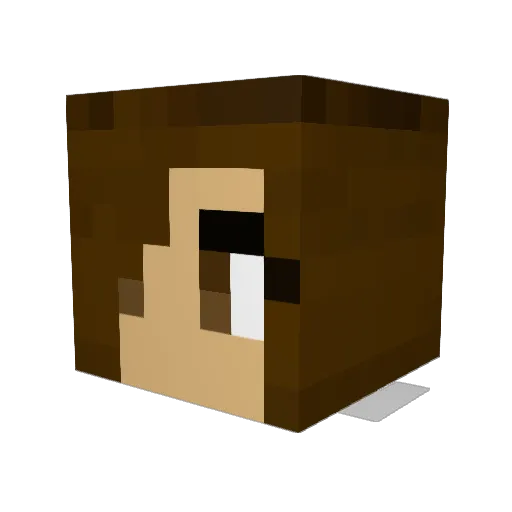 Rachael07 Minecraft avatar head, 3D render