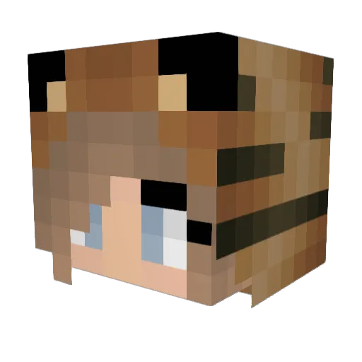 Rachael_634 Minecraft avatar head, 3D render