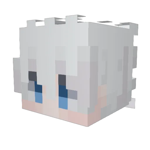 Rache101 Minecraft avatar head, 3D render