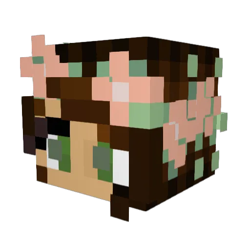 Racheals Minecraft avatar head, 3D render