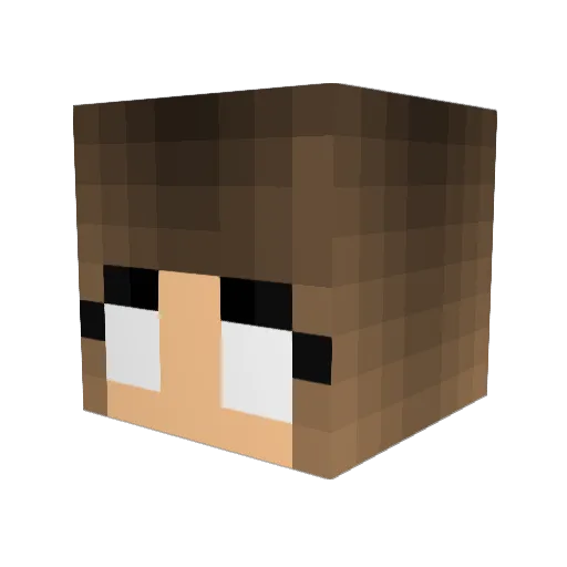Rachel2007 Minecraft avatar head, 3D render