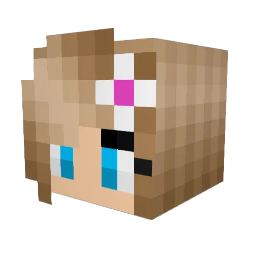 Rachel2464 Minecraft avatar head, 3D render