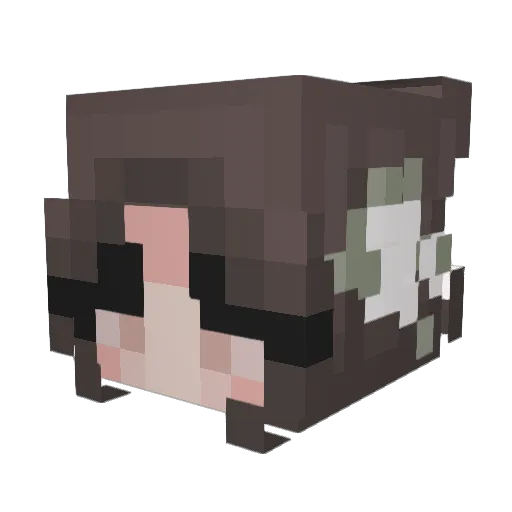 Rachel3737 Minecraft avatar head, 3D render