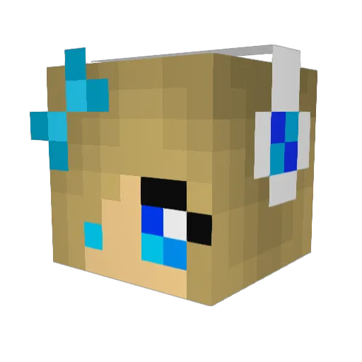 Rachel4568 Minecraft avatar head, 3D render