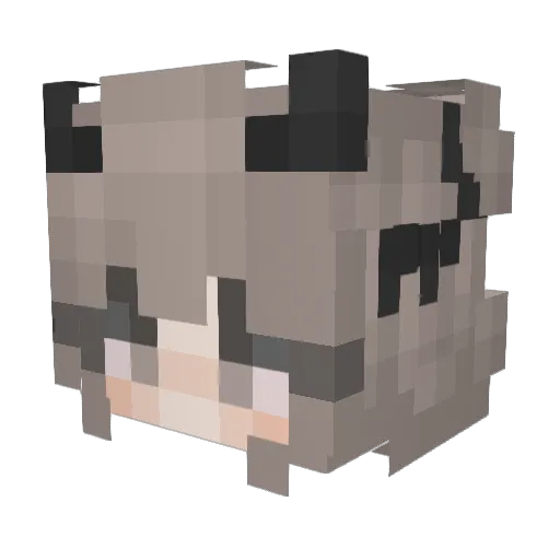 Rachel777 Minecraft avatar head, 3D render