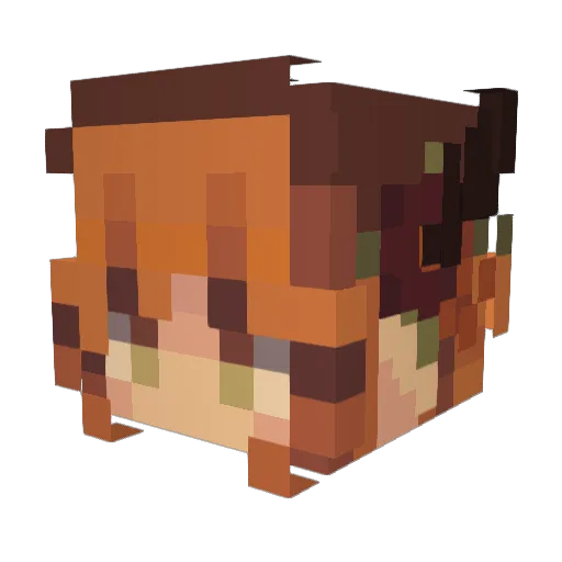 Rachel8460 Minecraft avatar head, 3D render