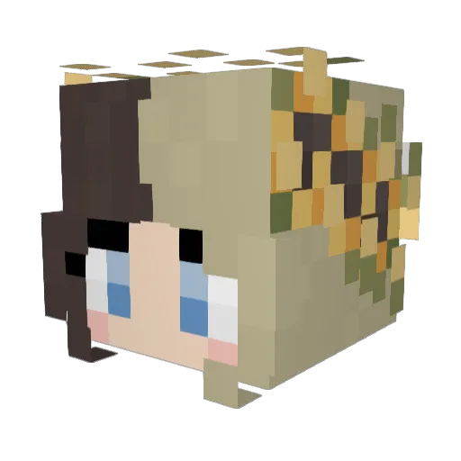 RachelBeeBee Minecraft avatar head, 3D render
