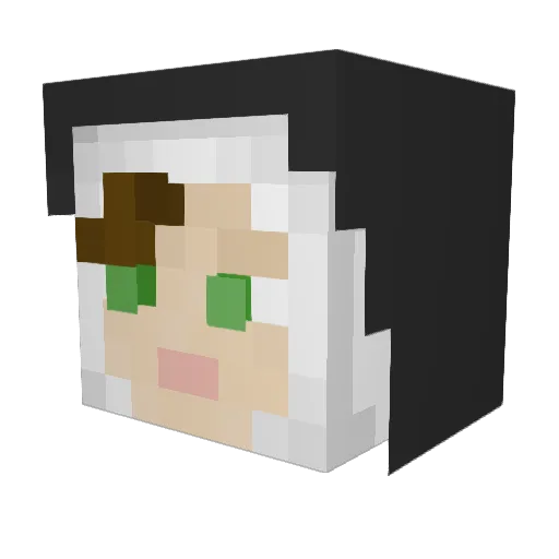RachelElise13 Minecraft avatar head, 3D render