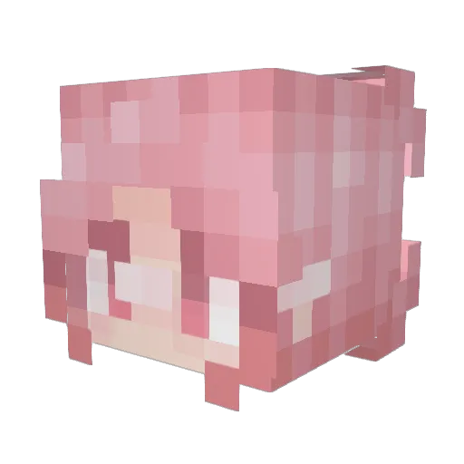 RachelYay Minecraft avatar head, 3D render