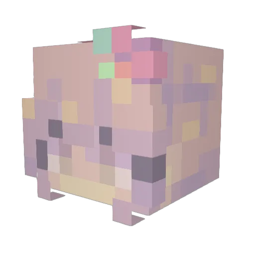 Rachel_exe Minecraft avatar head, 3D render