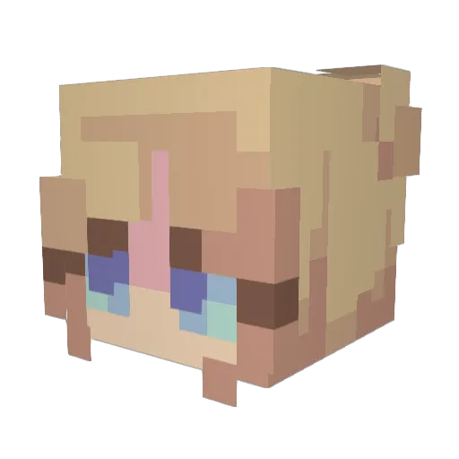 Rachelissocool Minecraft avatar head, 3D render