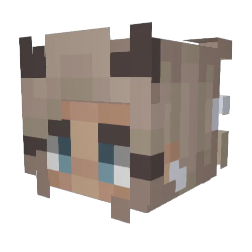 Rachelou Minecraft avatar head, 3D render