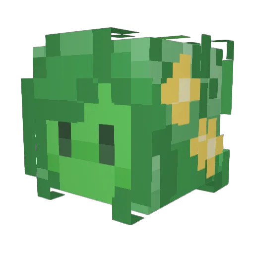 Rachili_Pepper Minecraft avatar head, 3D render