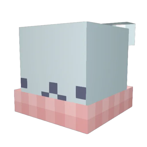 Rachio34 Minecraft avatar head, 3D render