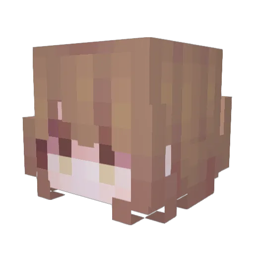 Rachri Minecraft avatar head, 3D render