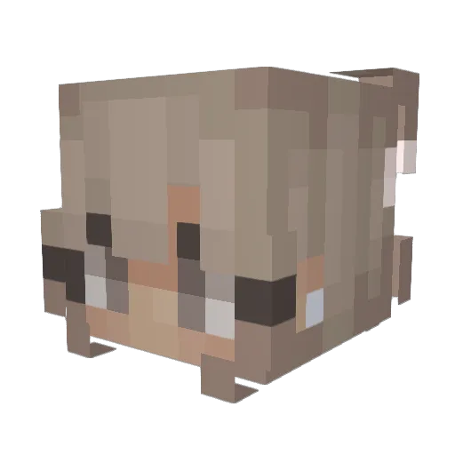 Rachxel Minecraft avatar head, 3D render