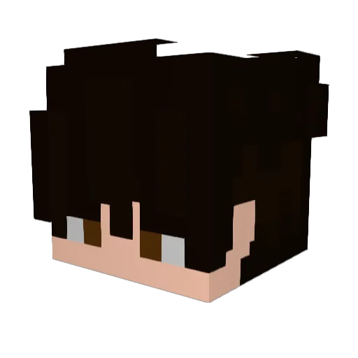 Racistguy1 Minecraft avatar head, 3D render